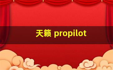 天籁 propilot